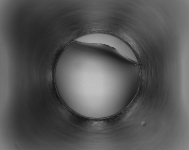 X0000092010401200710041029