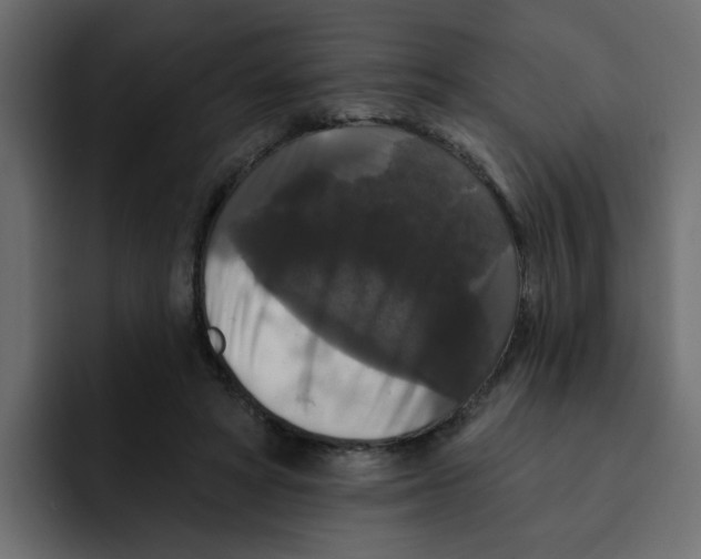 X0000092010402200710041029