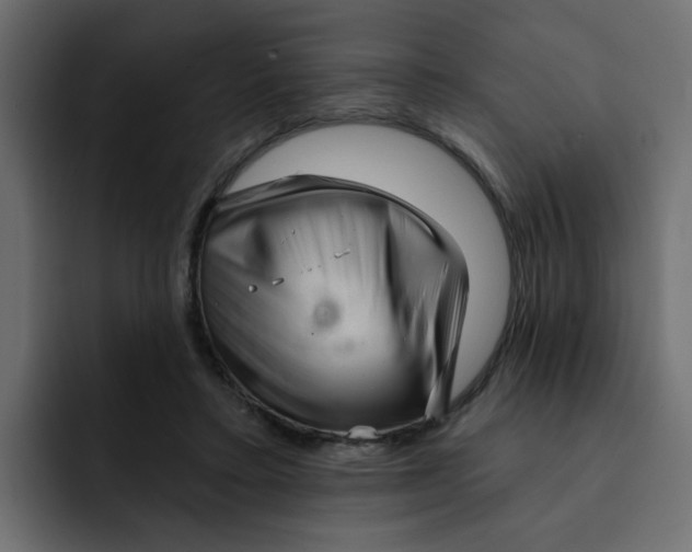 X0000092010403200710041029