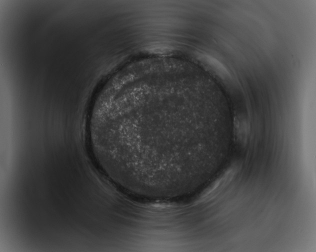 X0000092010404200710041029