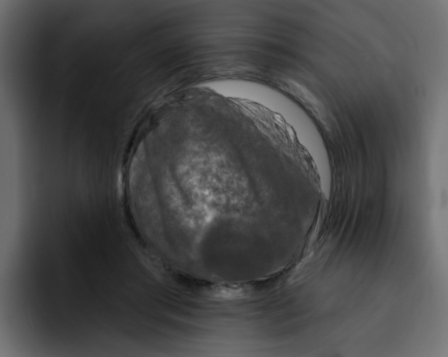 X0000092010405200710041029