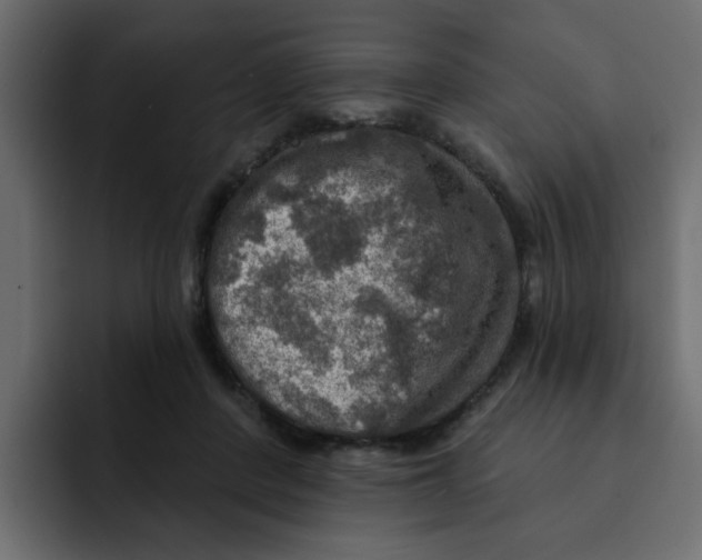 X0000092010408200710041029