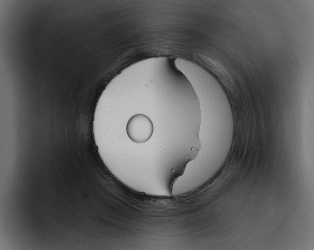 X0000092010409200710041029