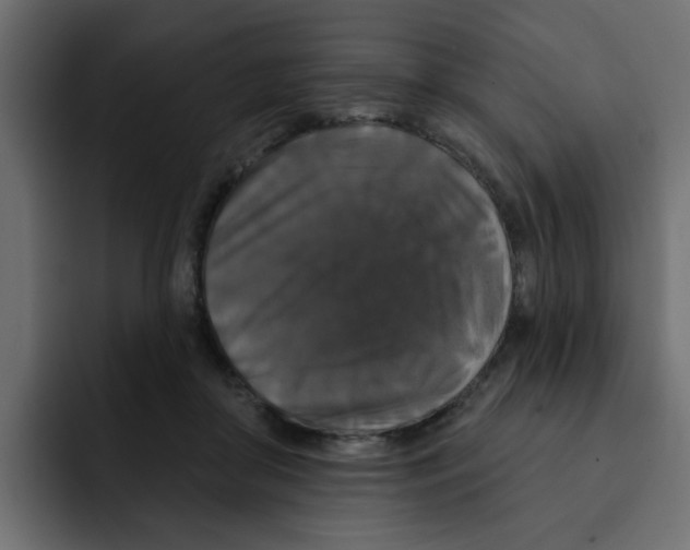 X0000092010410200710041029