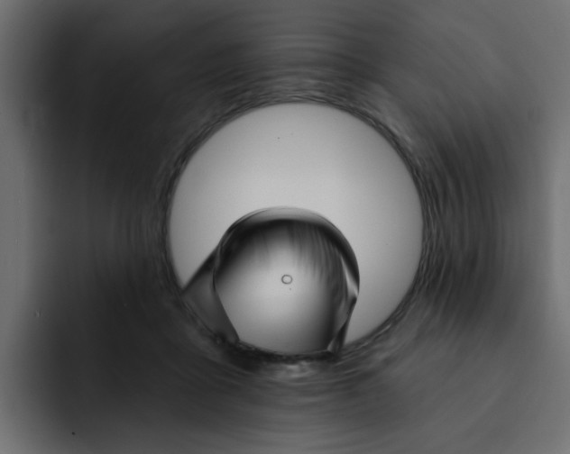 X0000092010411200710041029
