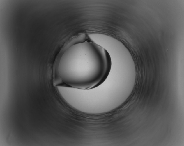 X0000092010412200710041029