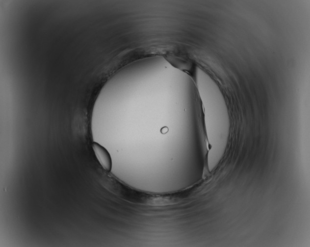 X0000092010413200710041029