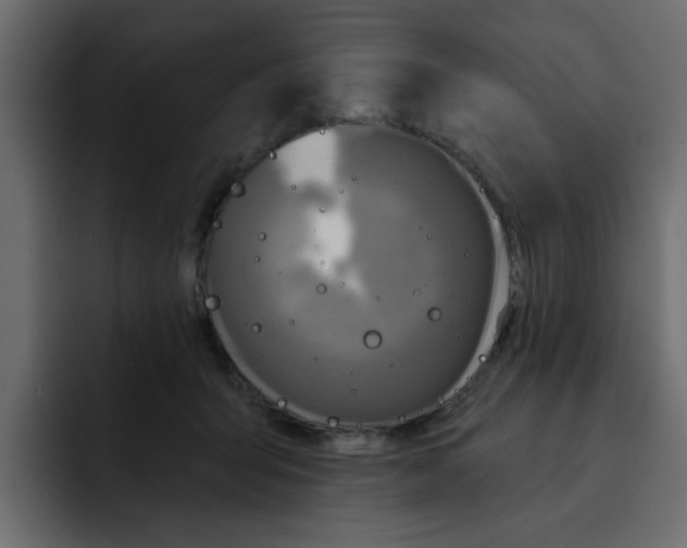 X0000092010415200710041029
