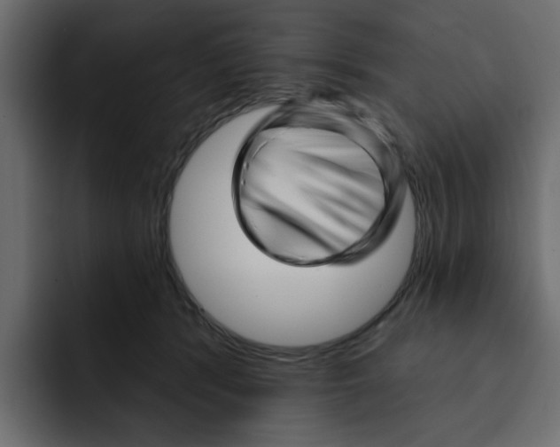 X0000092010416200710041029