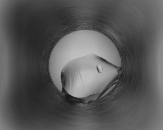 X0000092010417200710041029