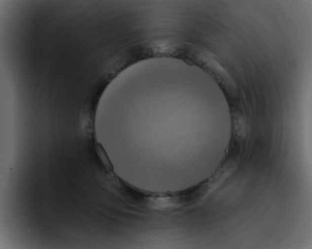 X0000092010419200710041029