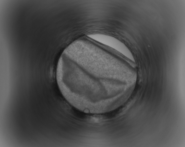 X0000092010420200710041029