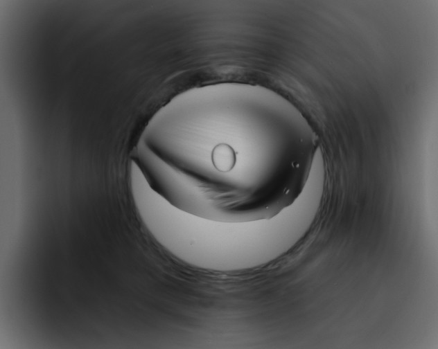 X0000092010421200710041029