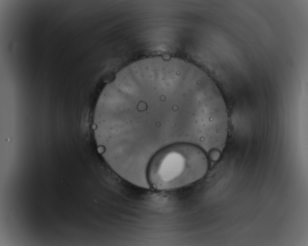 X0000092010423200710041029