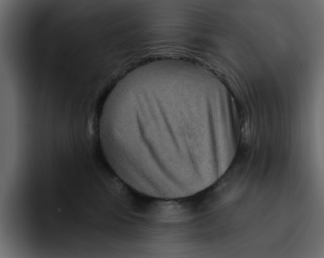 X0000092010424200710041029