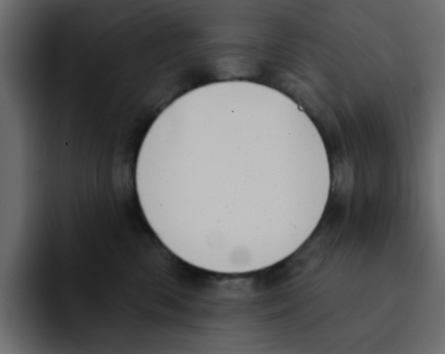 X0000092010426200710041029