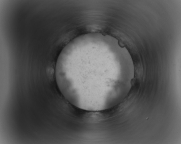 X0000092010427200710041029