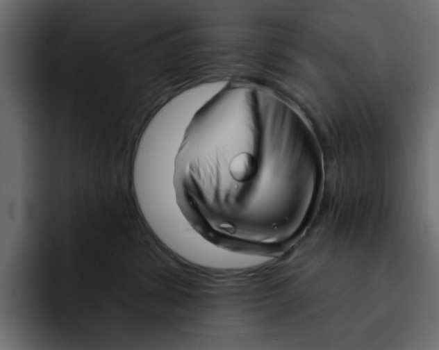 X0000092010428200710041029