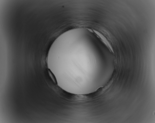 X0000092010429200710041029