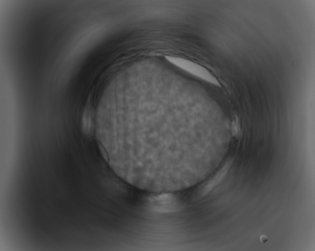 X0000092010431200710041029
