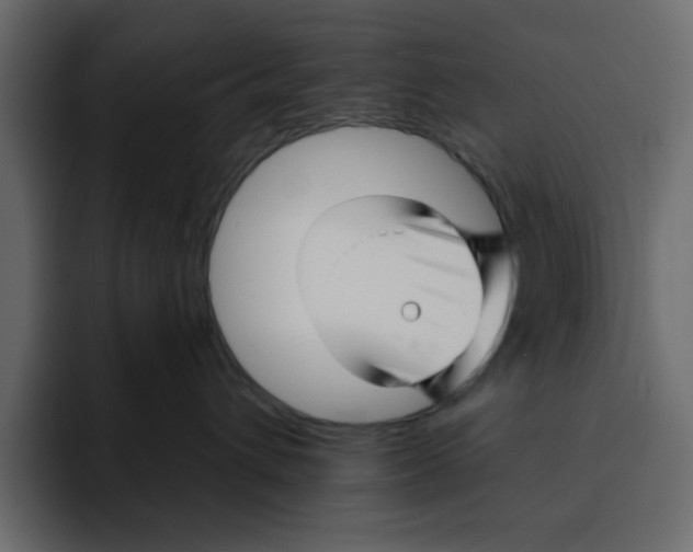 X0000092010432200710041029