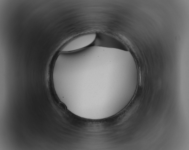 X0000092010435200710041028