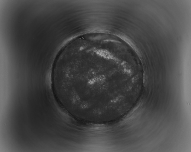 X0000092010438200710041028