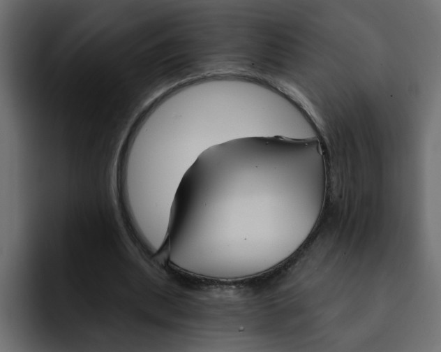 X0000092010439200710041028