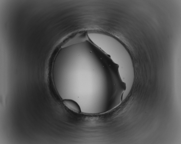 X0000092010440200710041028