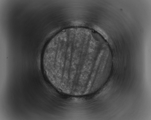 X0000092010442200710041028