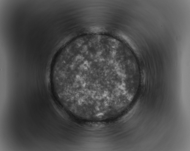 X0000092010443200710041028