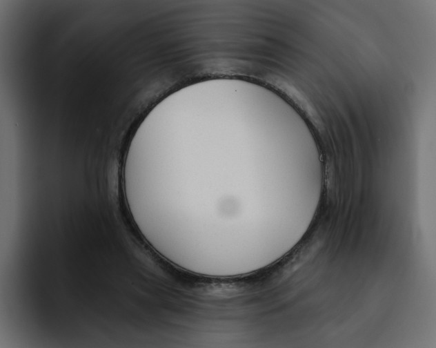 X0000092010445200710041028