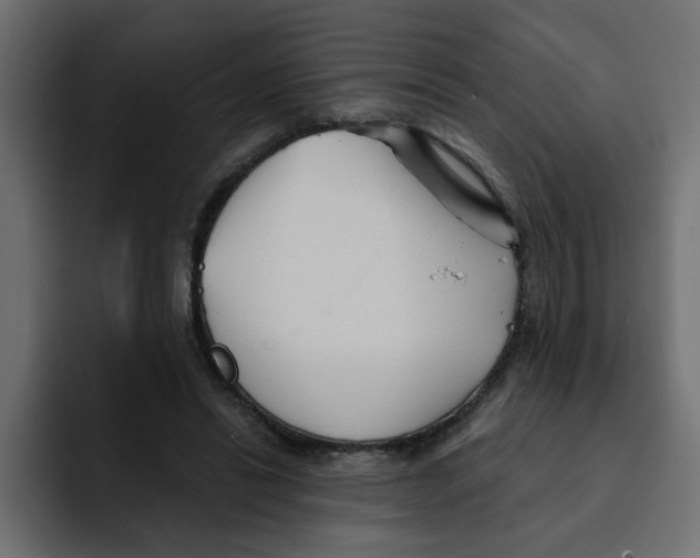 X0000092010446200710041028