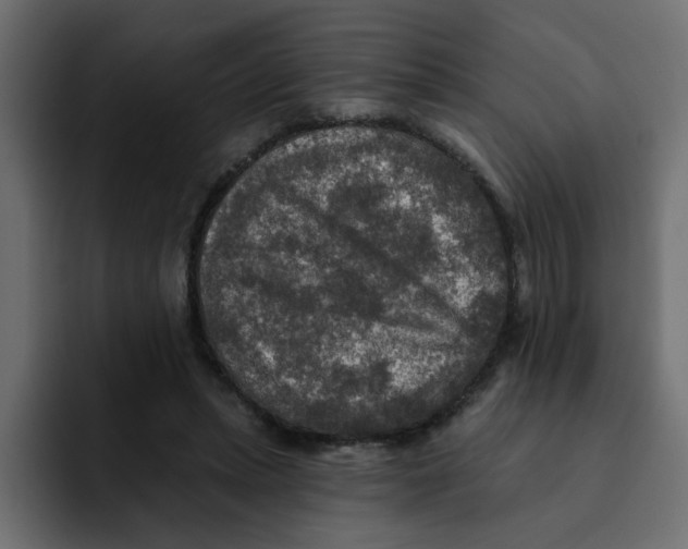 X0000092010447200710041028
