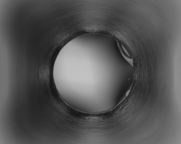 X0000092010448200710041028