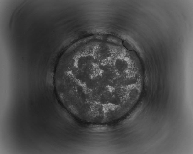 X0000092010449200710041028