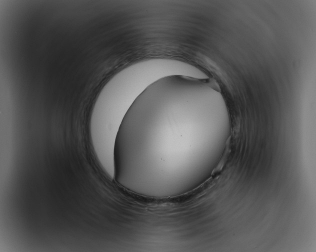 X0000092010452200710041028