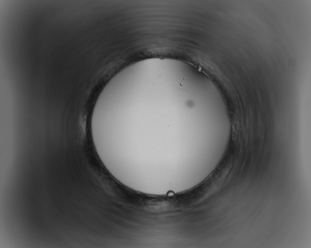 X0000092010454200710041028