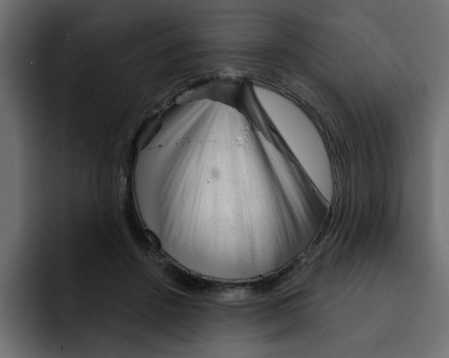 X0000092010456200710041029