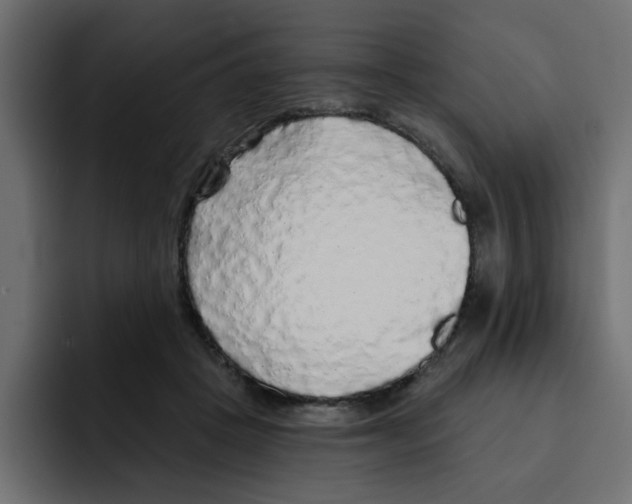X0000092010457200710041029