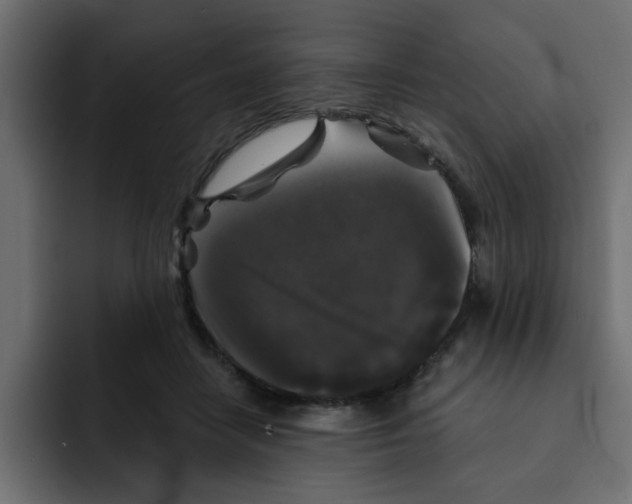 X0000092010458200710041029
