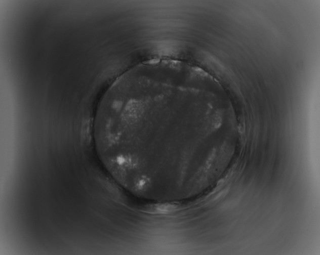 X0000092010462200710041029