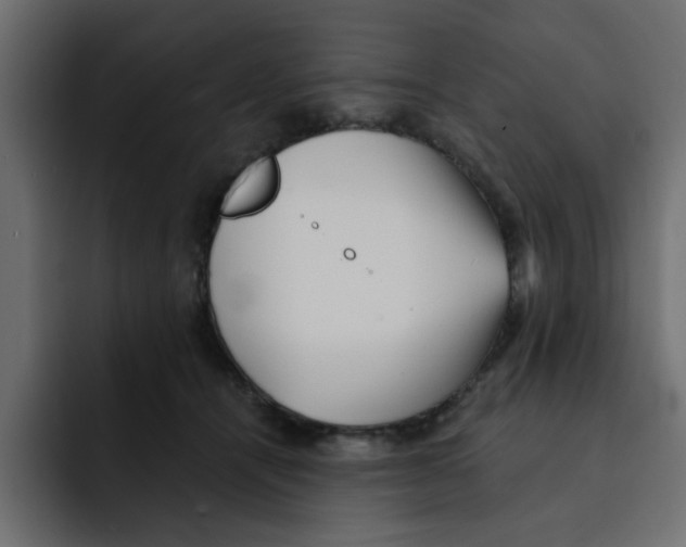X0000092010464200710041029