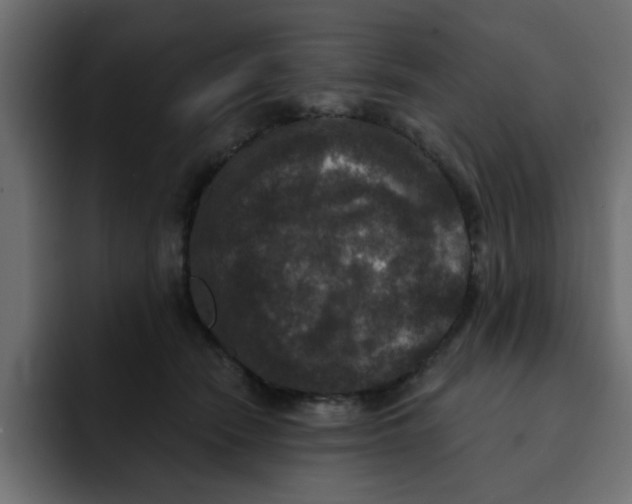 X0000092010466200710041029