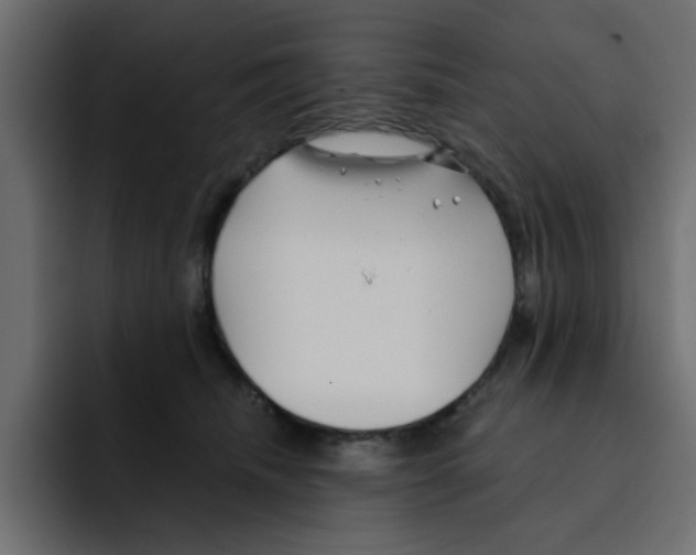 X0000092010468200710041029