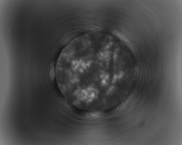 X0000092010479200710041029