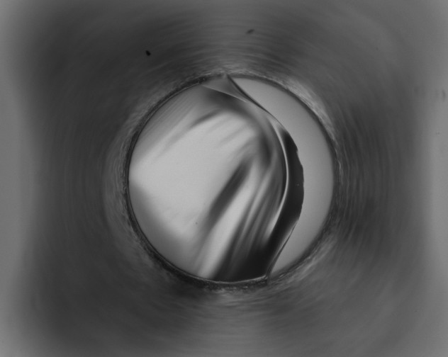 X0000092010481200710041028