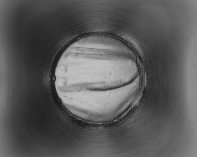 X0000092010483200710041028