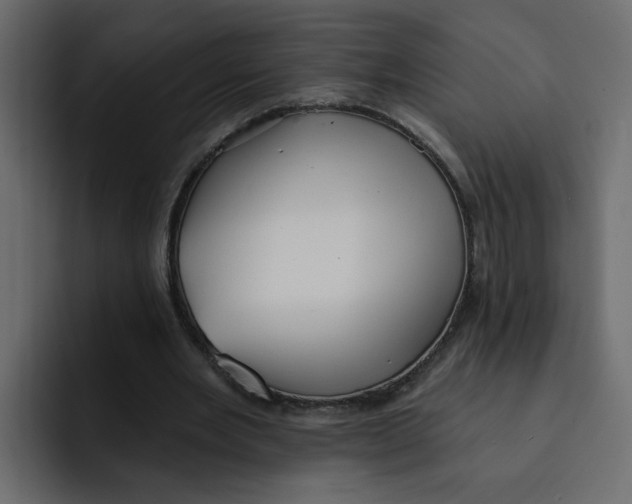 X0000092010485200710041028