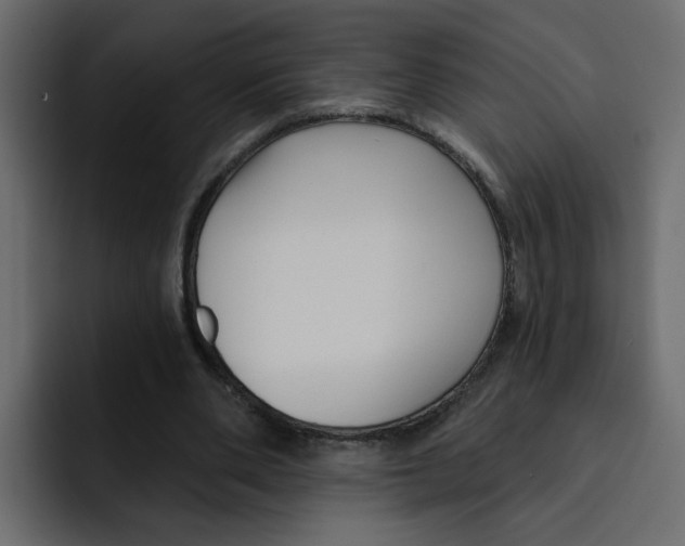 X0000092010486200710041028